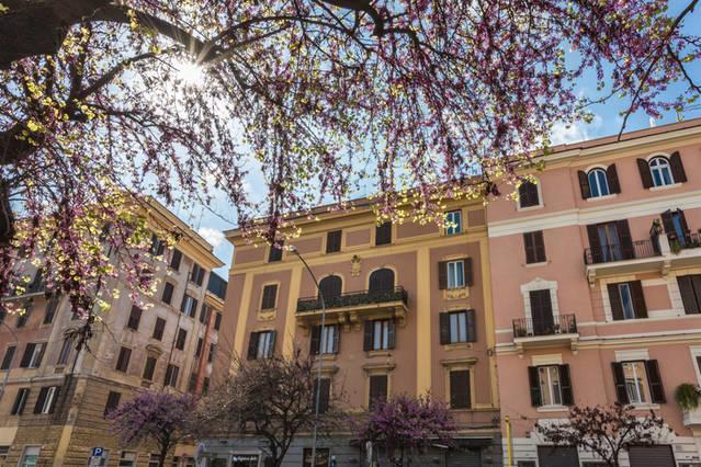 B&B Gallia'S Rooms Ρώμη Εξωτερικό φωτογραφία